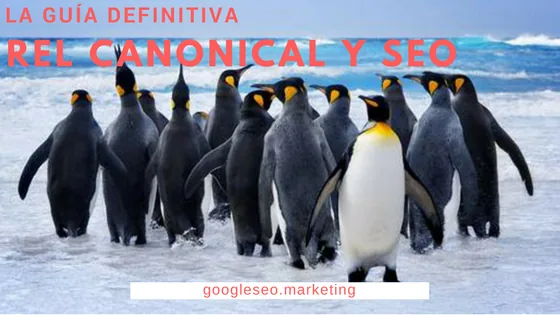 Featured image for Rel Canonical y el SEO: La guía definitiva para canonicalizar